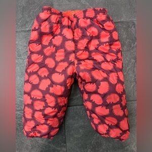 Patagonia 2T snow pants with hedgehogs